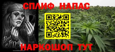 индика Апшеронск